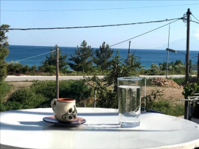 Armeno Studios
